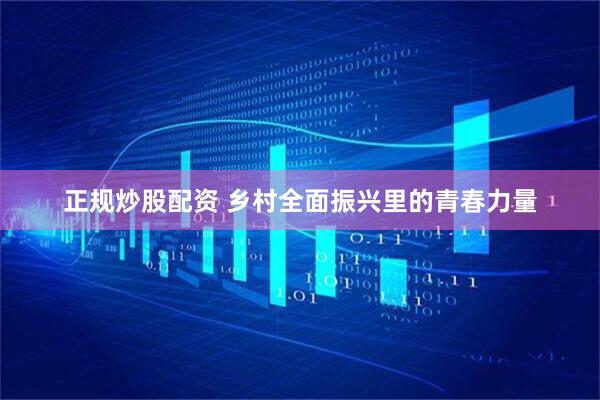 正规炒股配资 乡村全面振兴里的青春力量